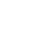 Ottic