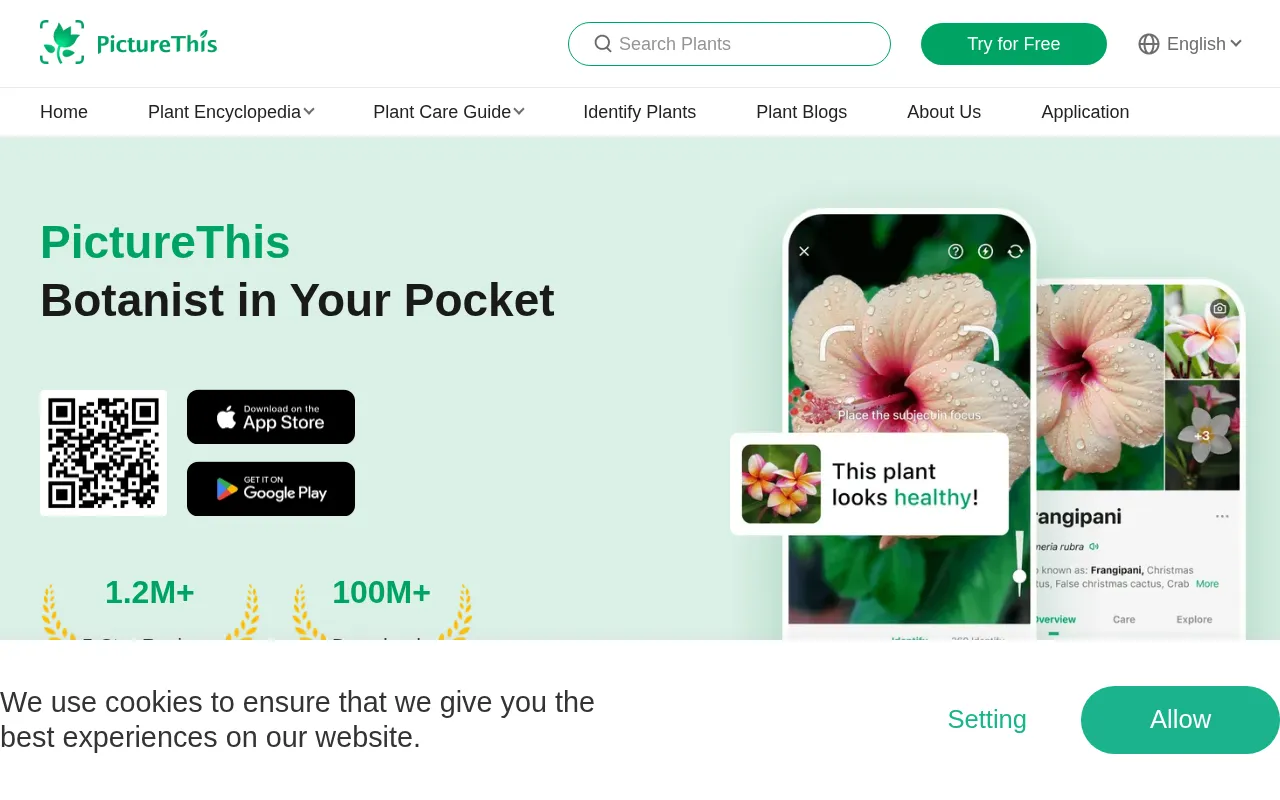 PictureThis — preview screenshot