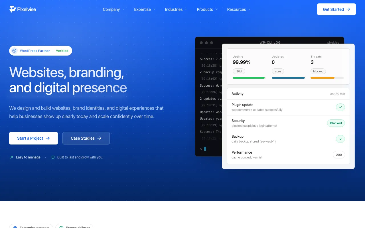 pixelvise.com — preview screenshot