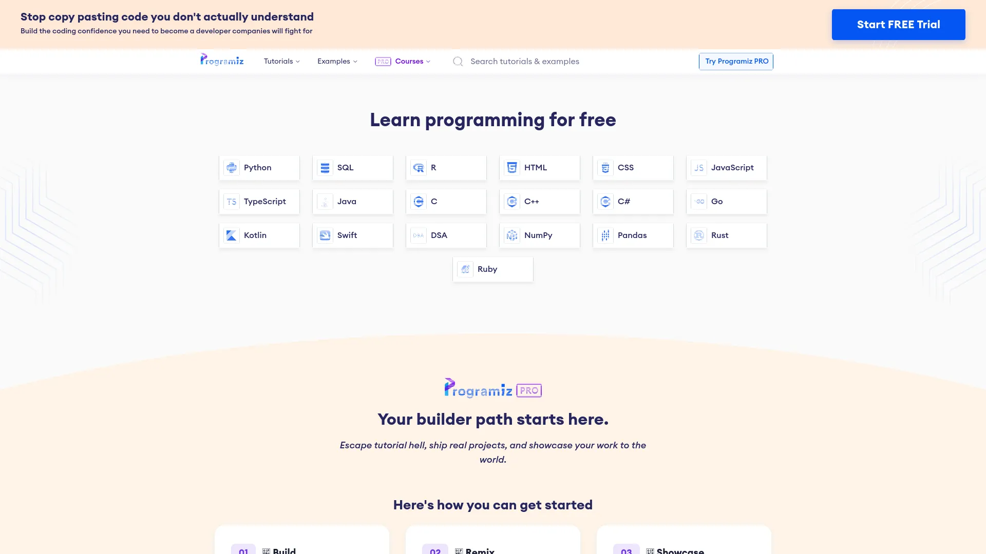 Programiz — preview screenshot
