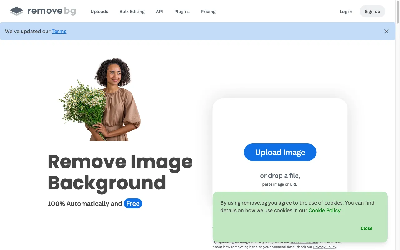 Remove-BG.AI — preview screenshot