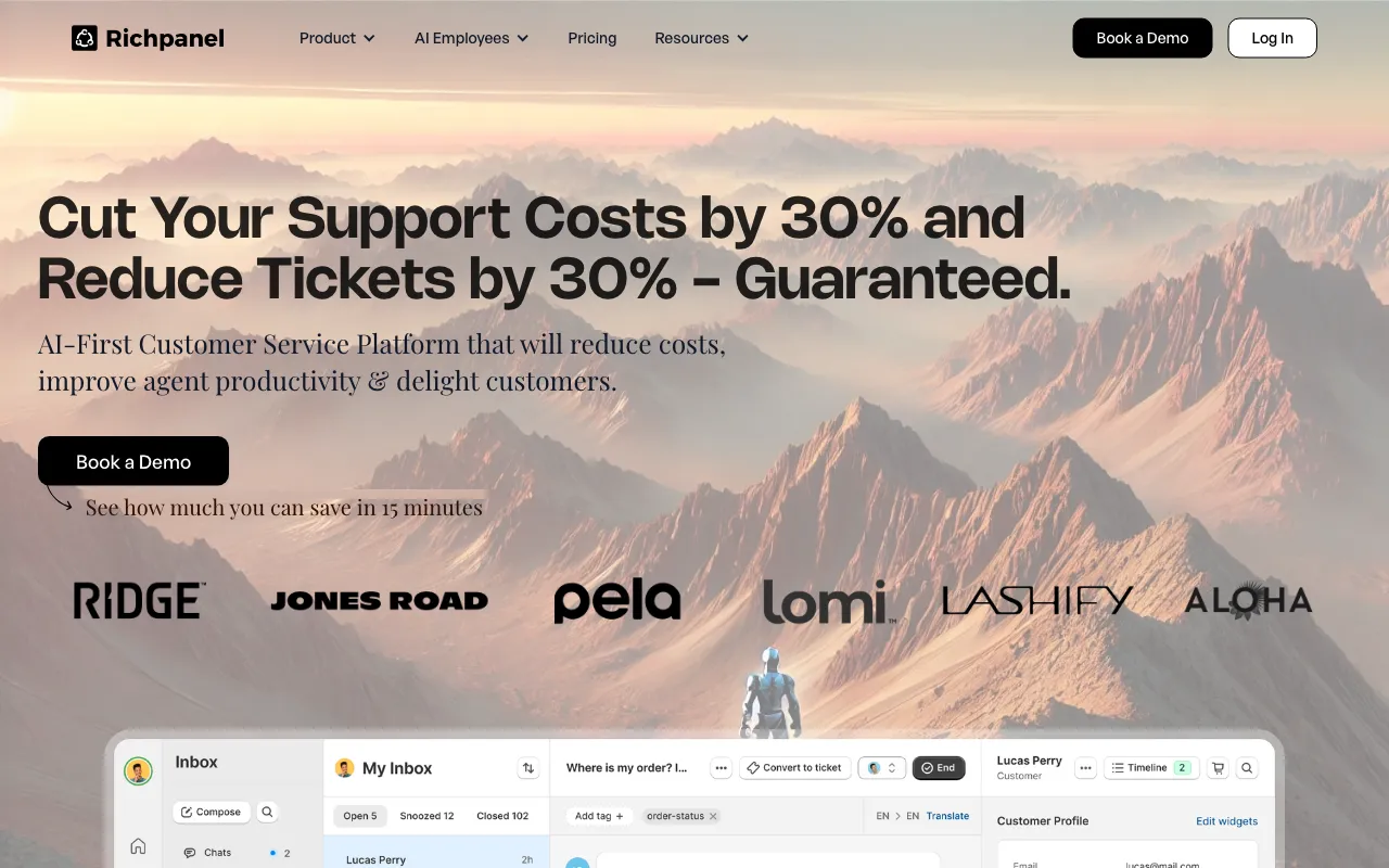 Richpanel — preview screenshot