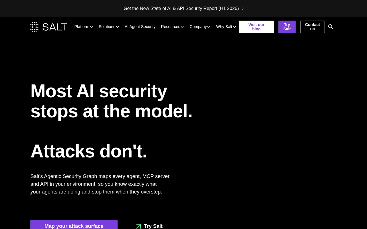 Salt Security — preview screenshot