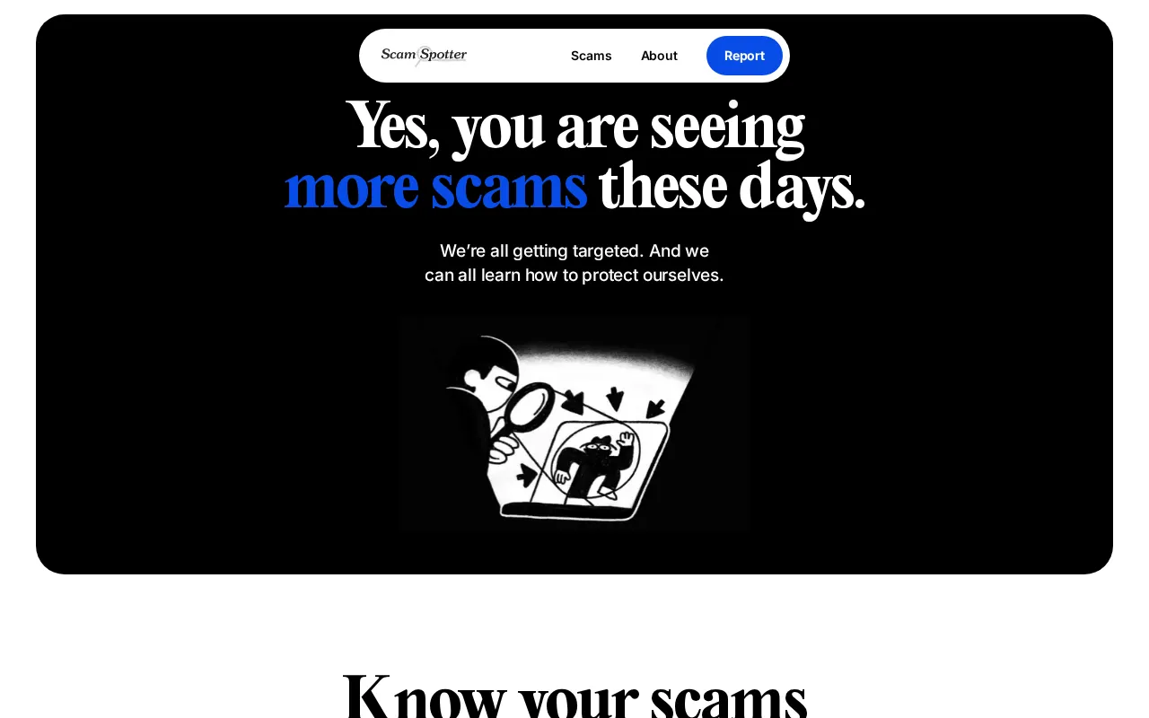 Scam Spotter by Google — preview screenshot