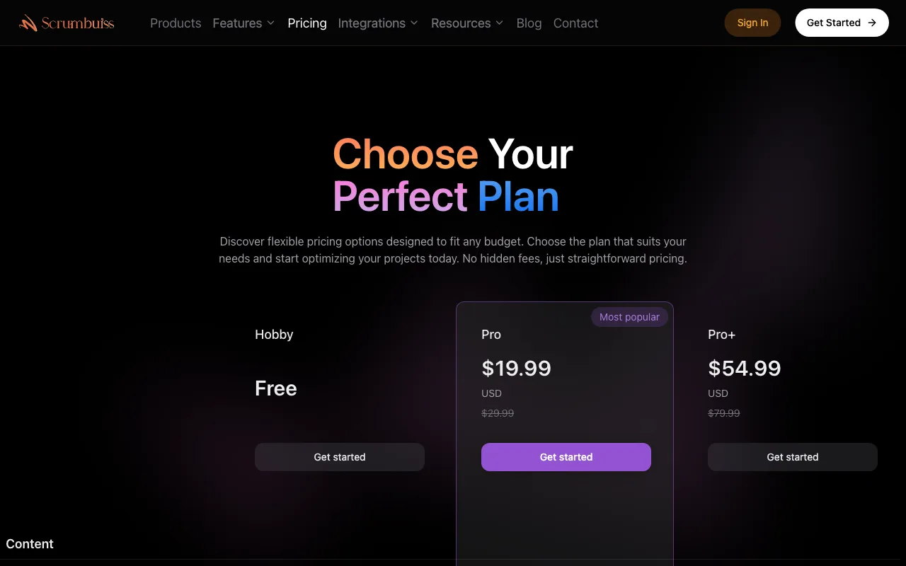 Scrumbuiss — pricing page