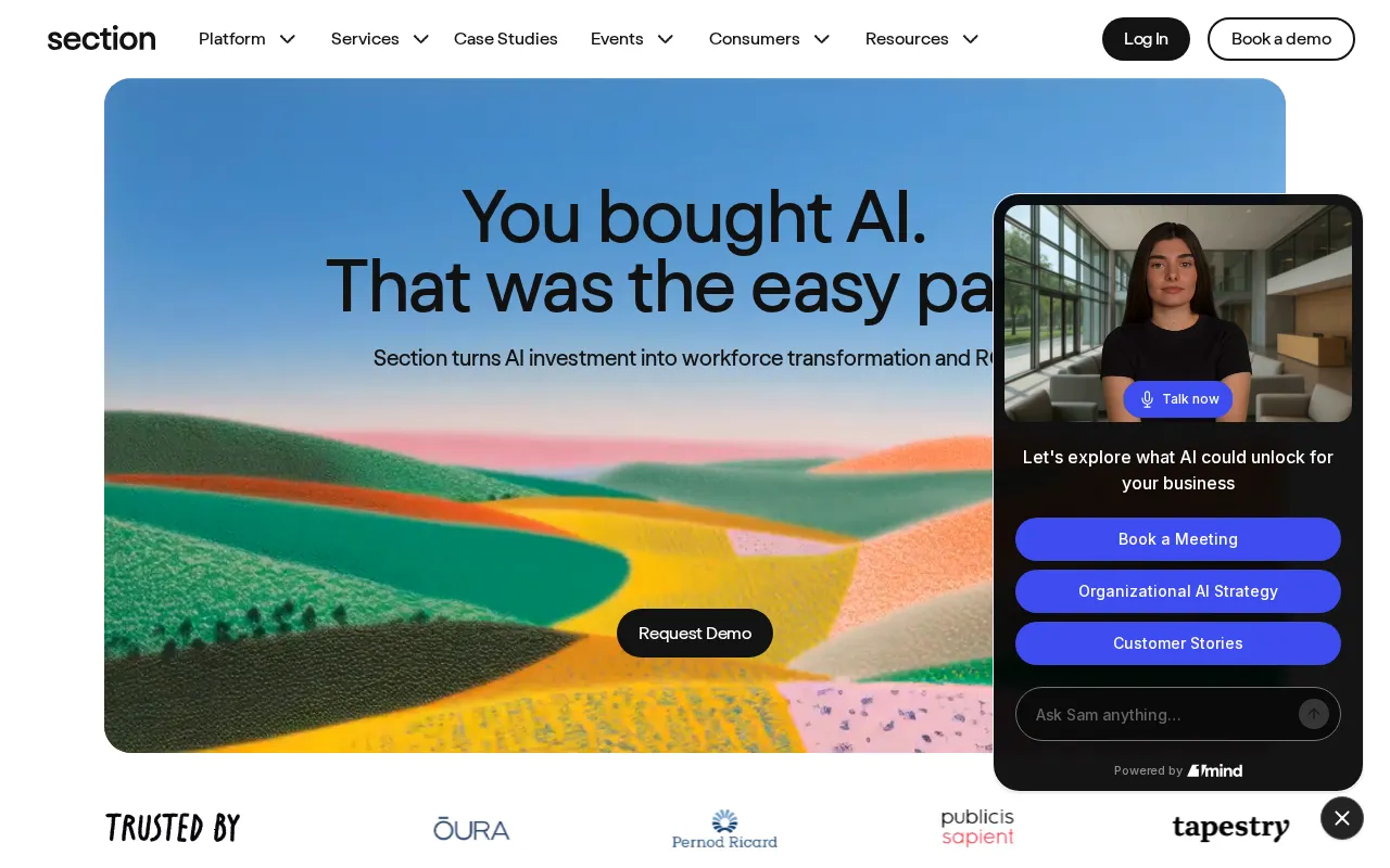 Section AI — preview screenshot