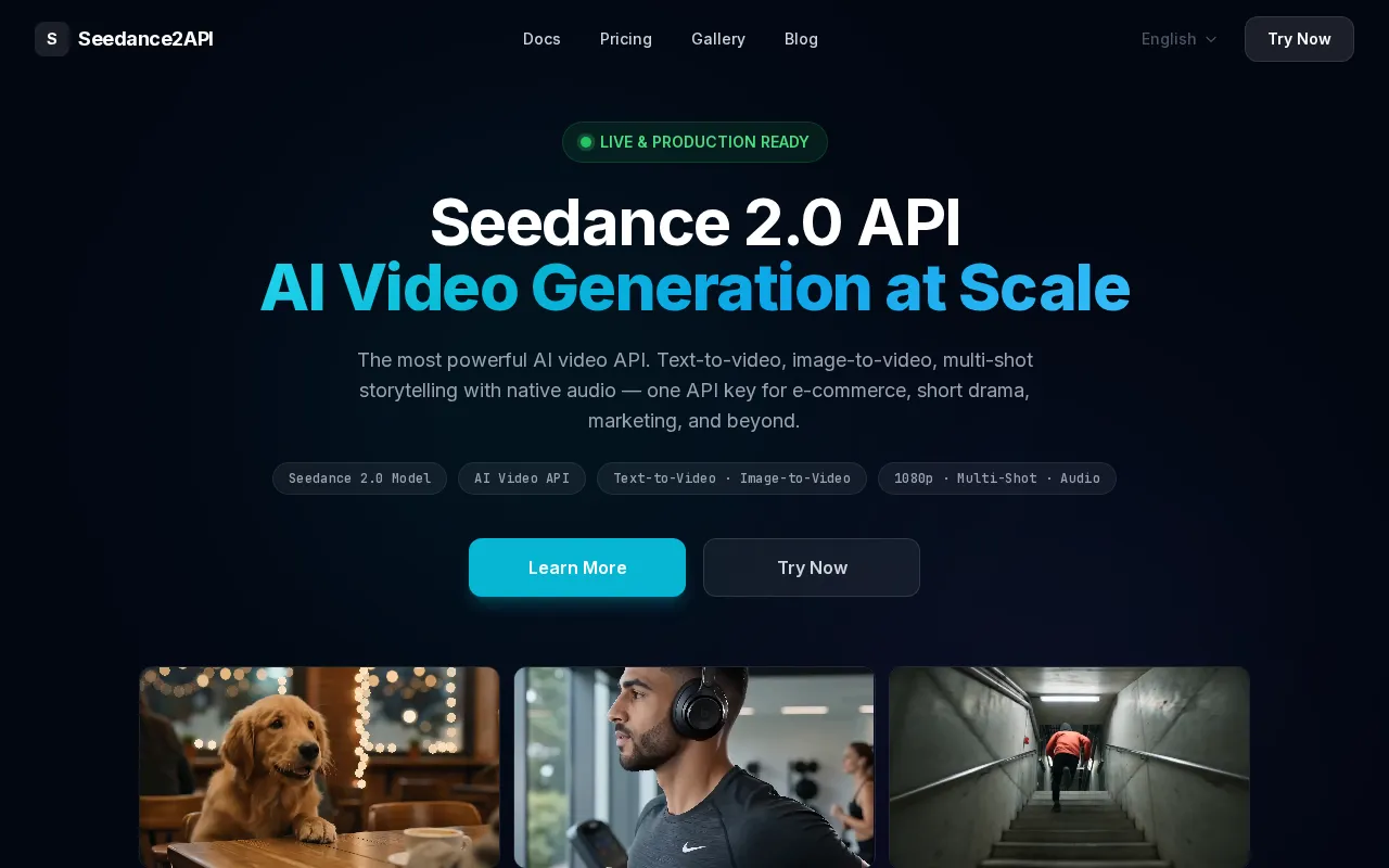 Seedance2API — preview screenshot