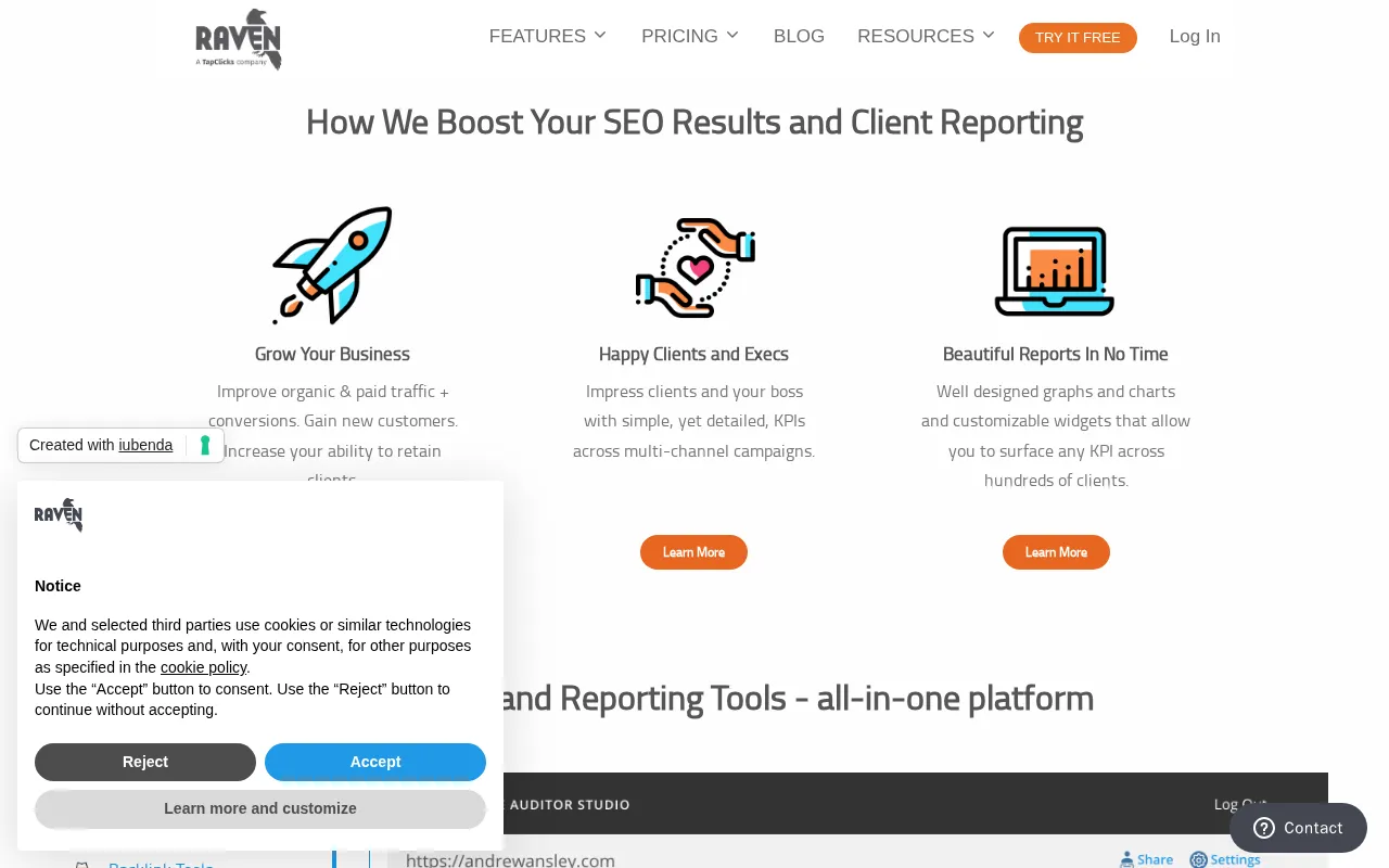 SEO Analysis & Online Marketing Report Software by Raven — preview screenshot