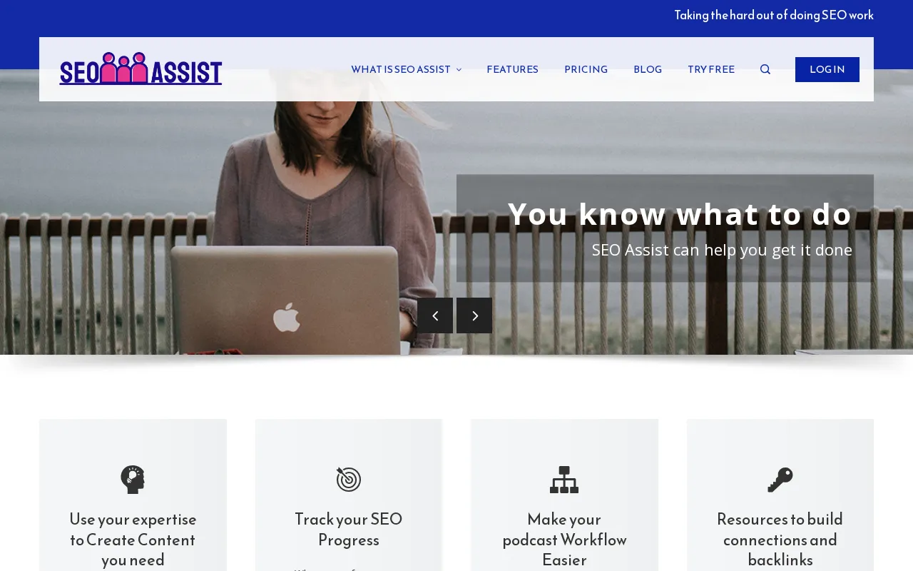 SEO ASSIST - Taking the HARD out of SEO work — preview screenshot