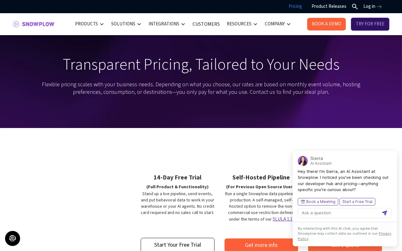 Snowplow — pricing page