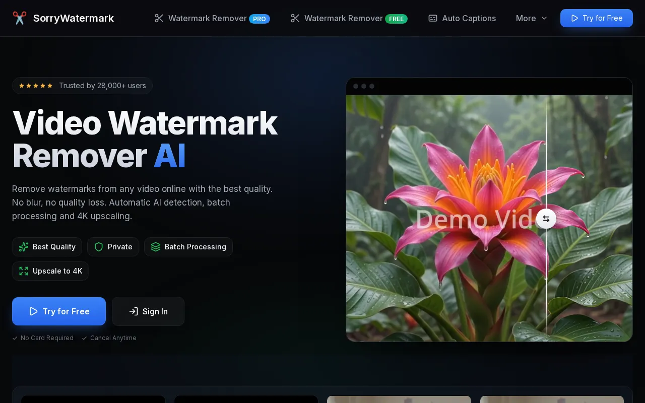SorryWatermark — preview screenshot