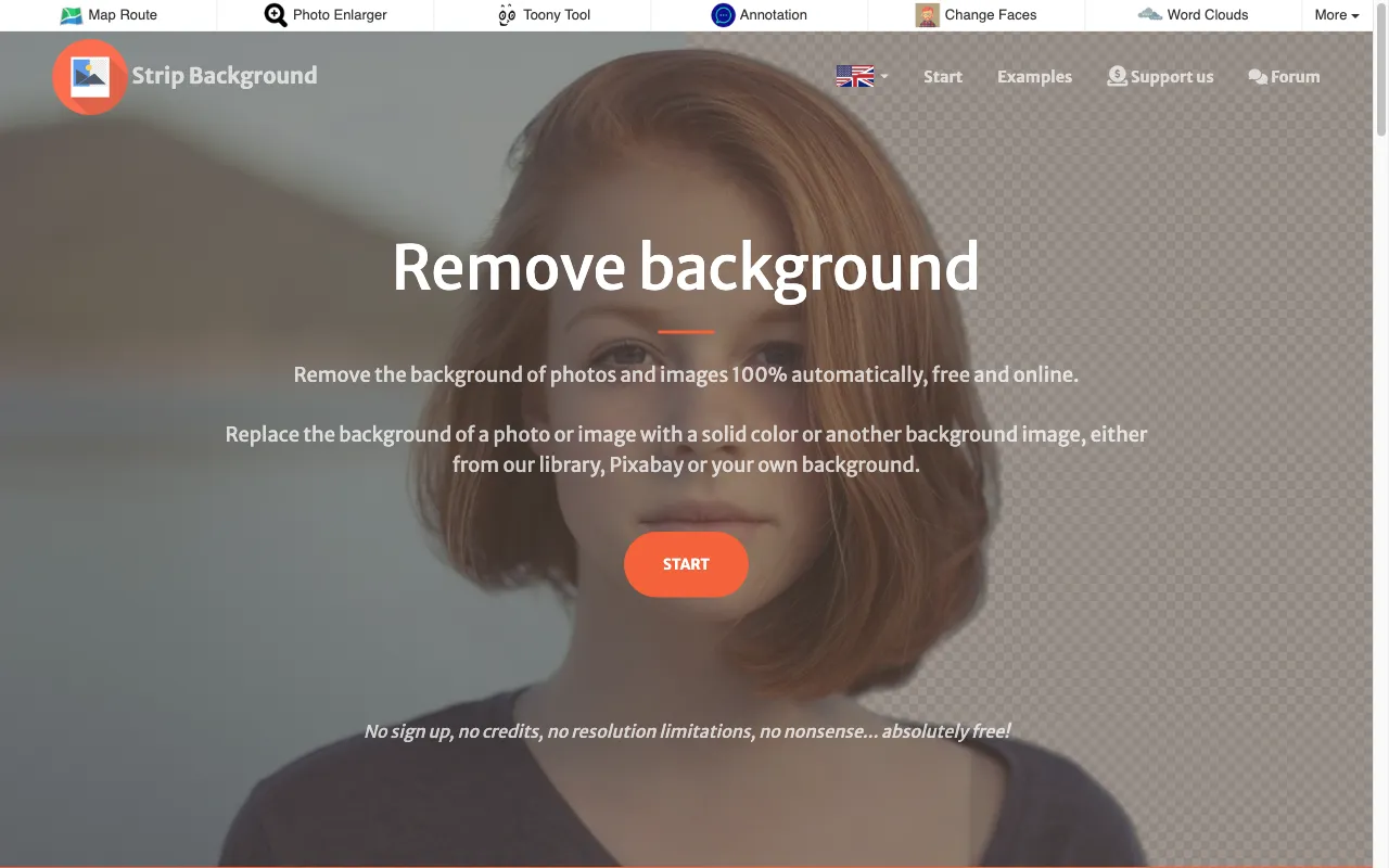 stripbackground.com — preview screenshot