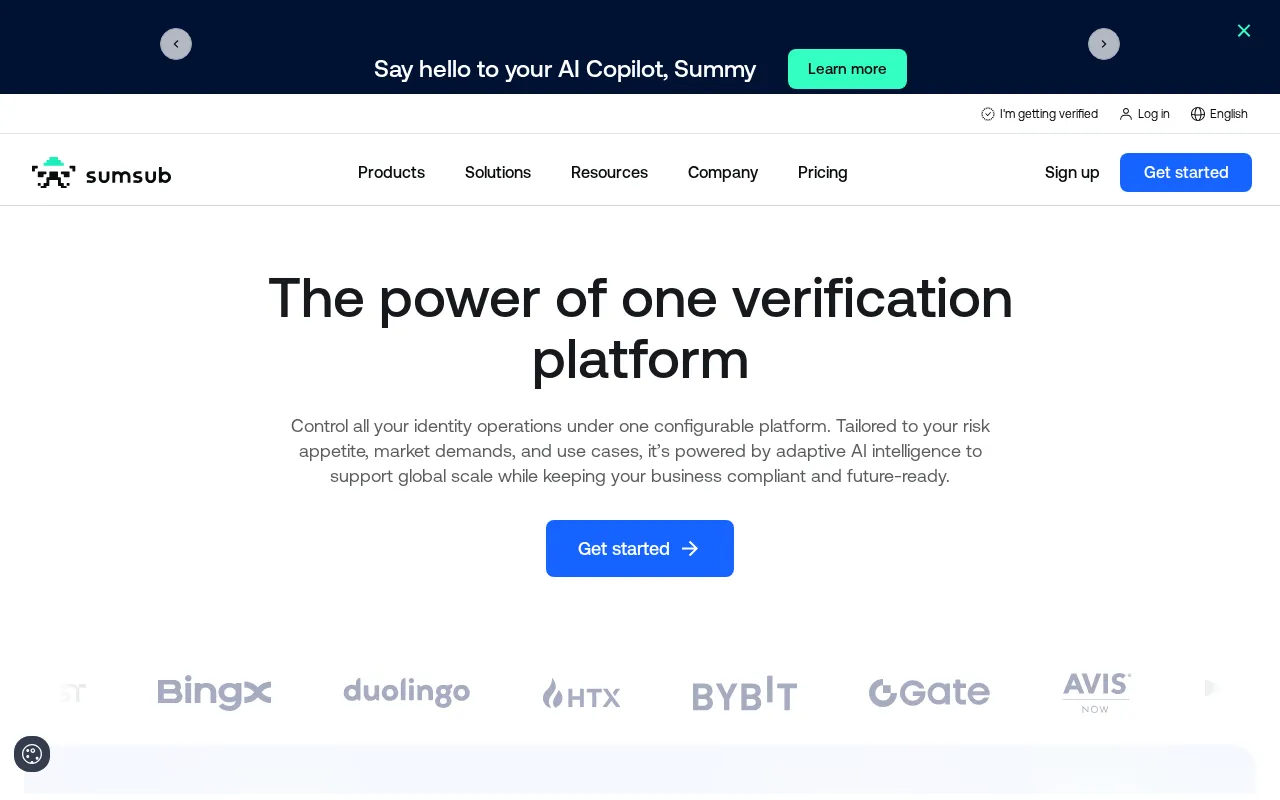 Sumsub — preview screenshot