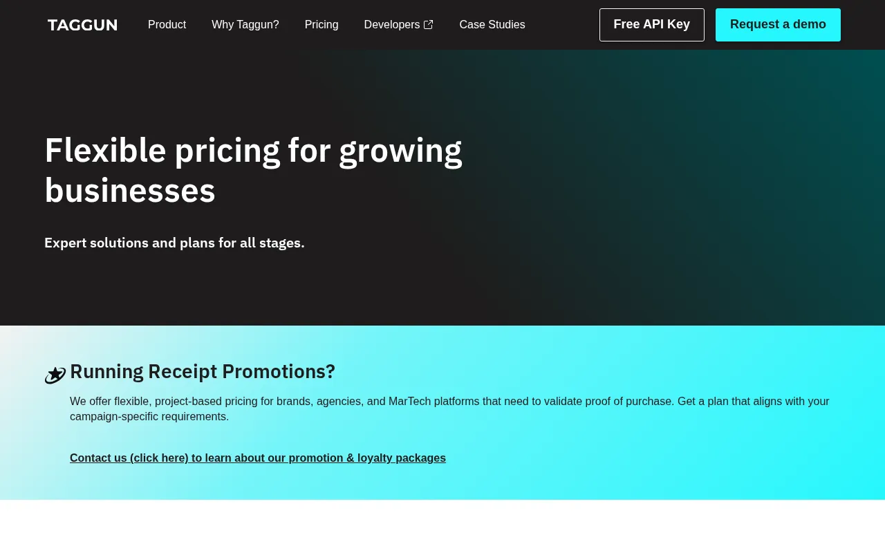 Taggun — pricing page