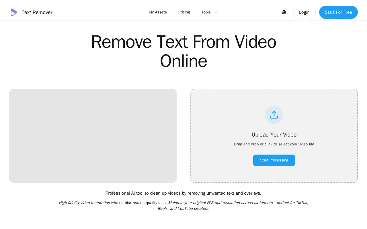 Remove Text From Video — preview screenshot