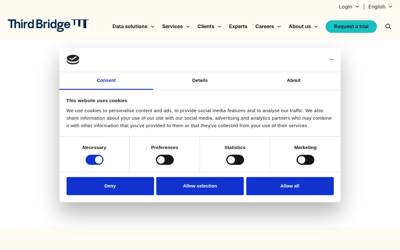 Third Bridge — preview screenshot
