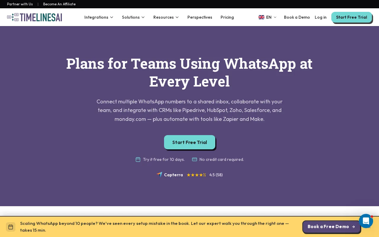 Timelines — pricing page
