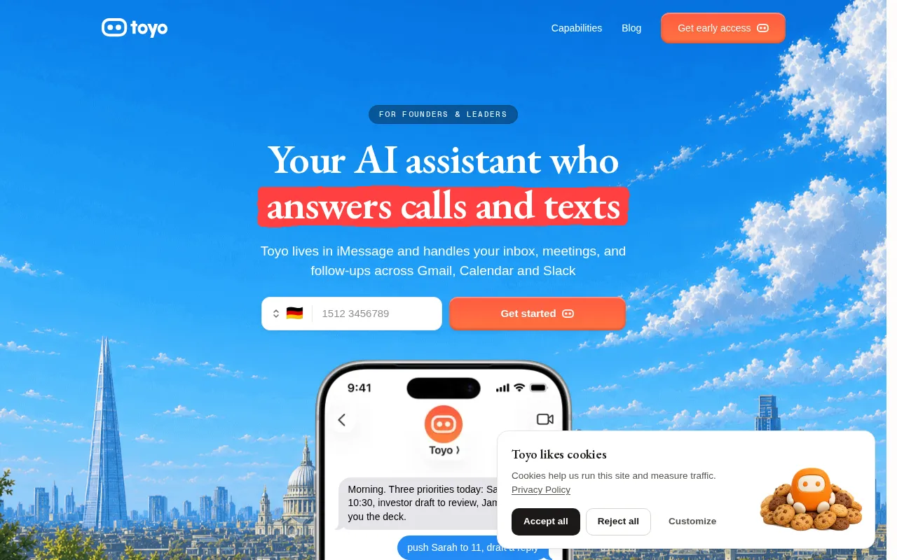 Toyo — preview screenshot