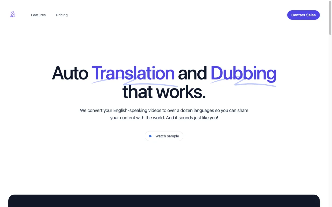 Translate This Video — preview screenshot