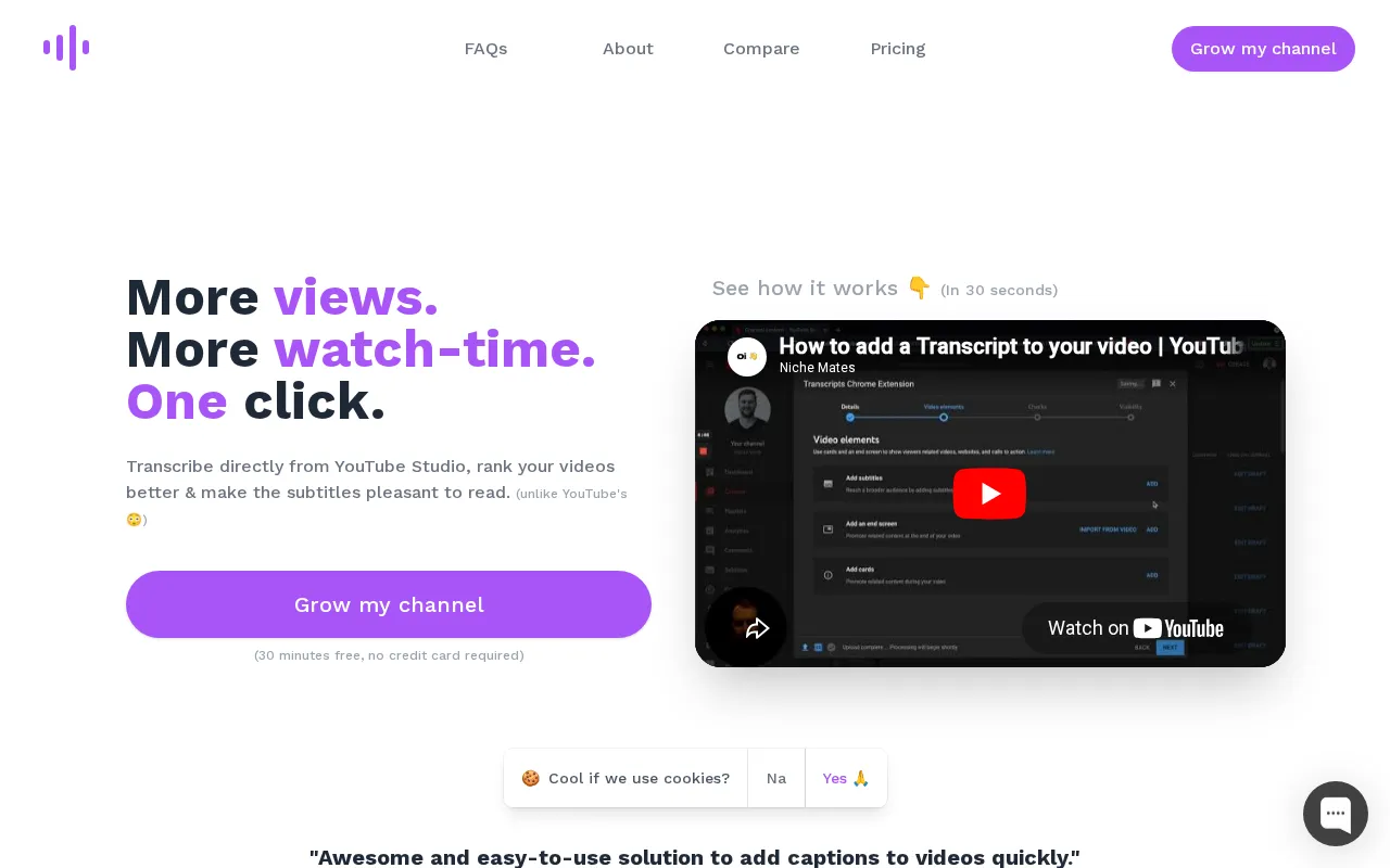 Tube Transcripts — preview screenshot