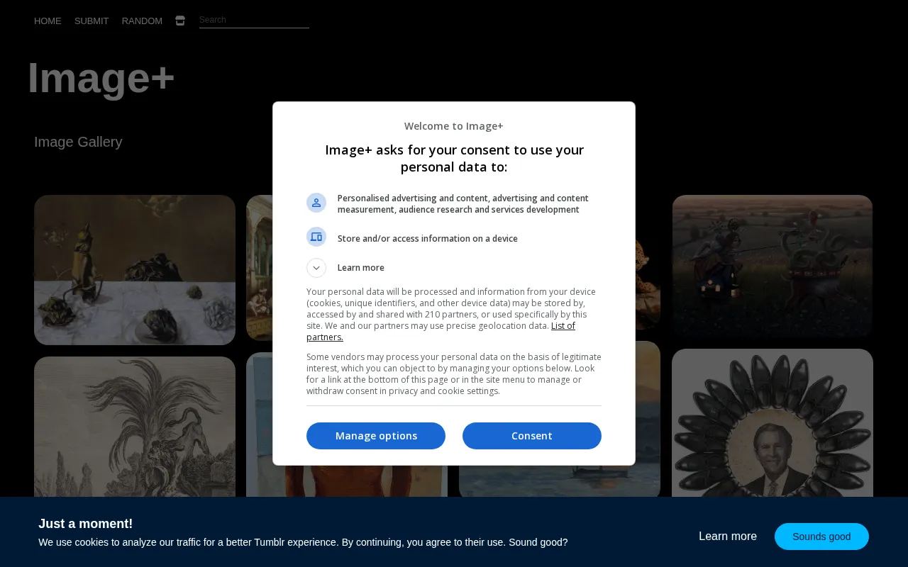 Tumblr — preview screenshot