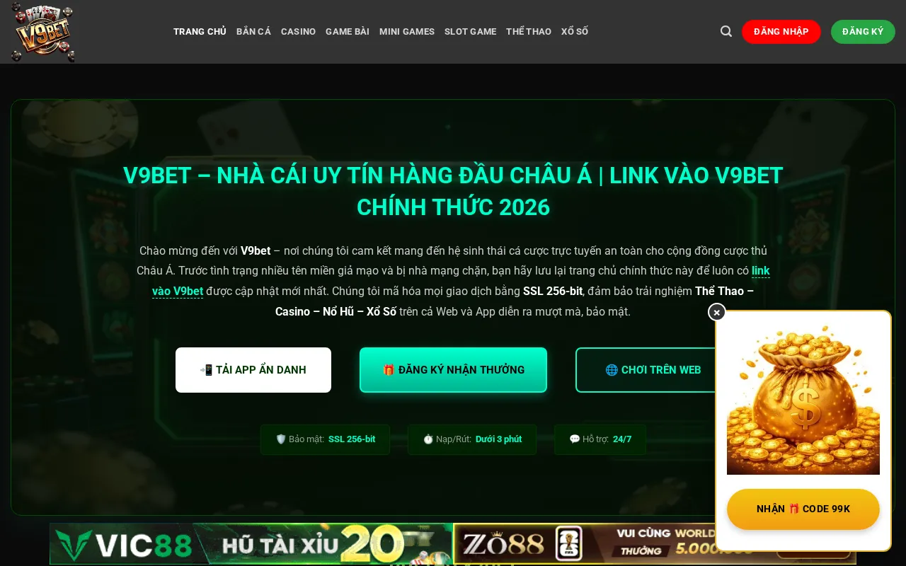 V9Bet — preview screenshot