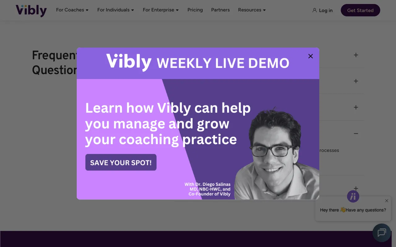 Vibly — pricing page