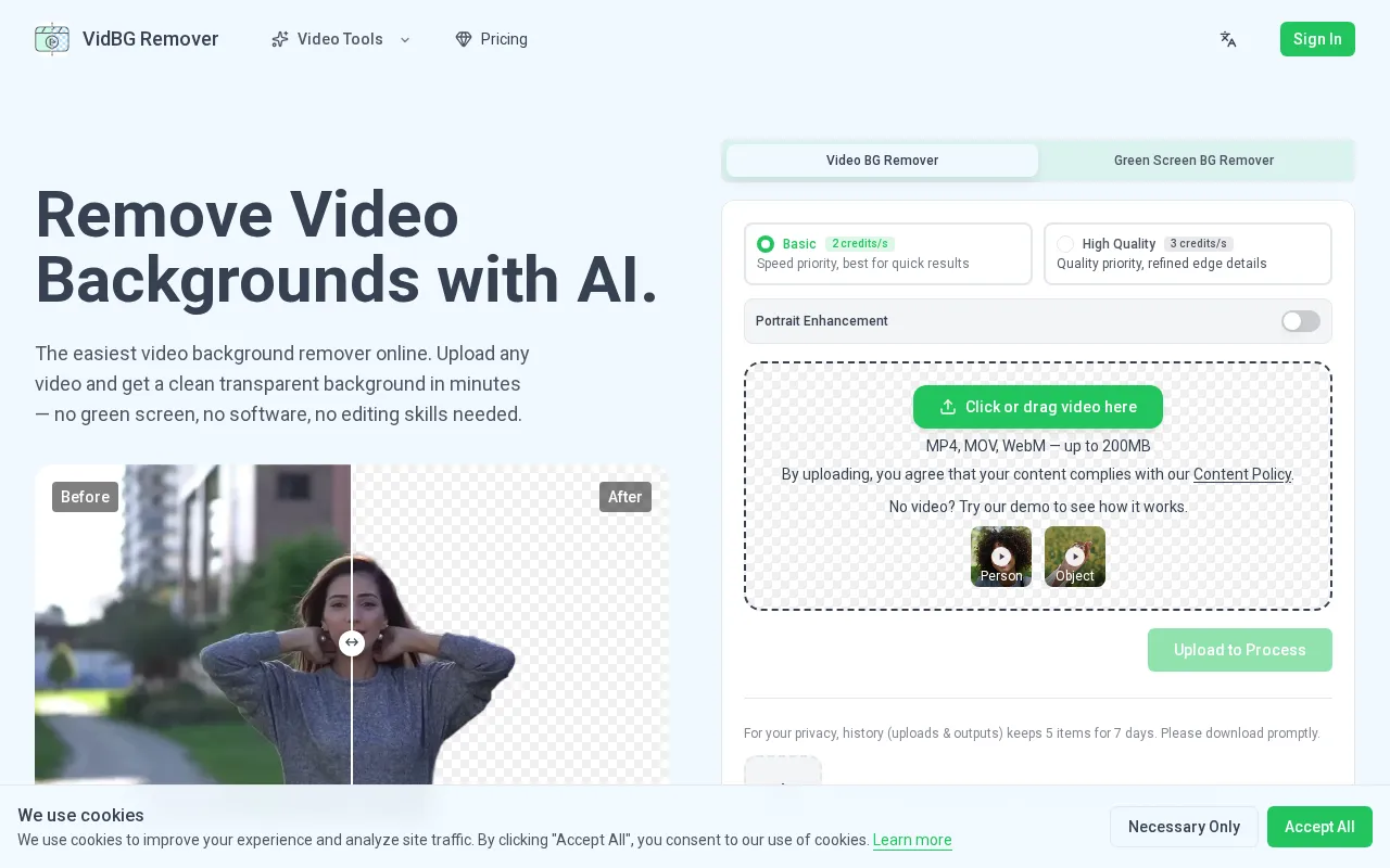 VidBG Remover — preview screenshot