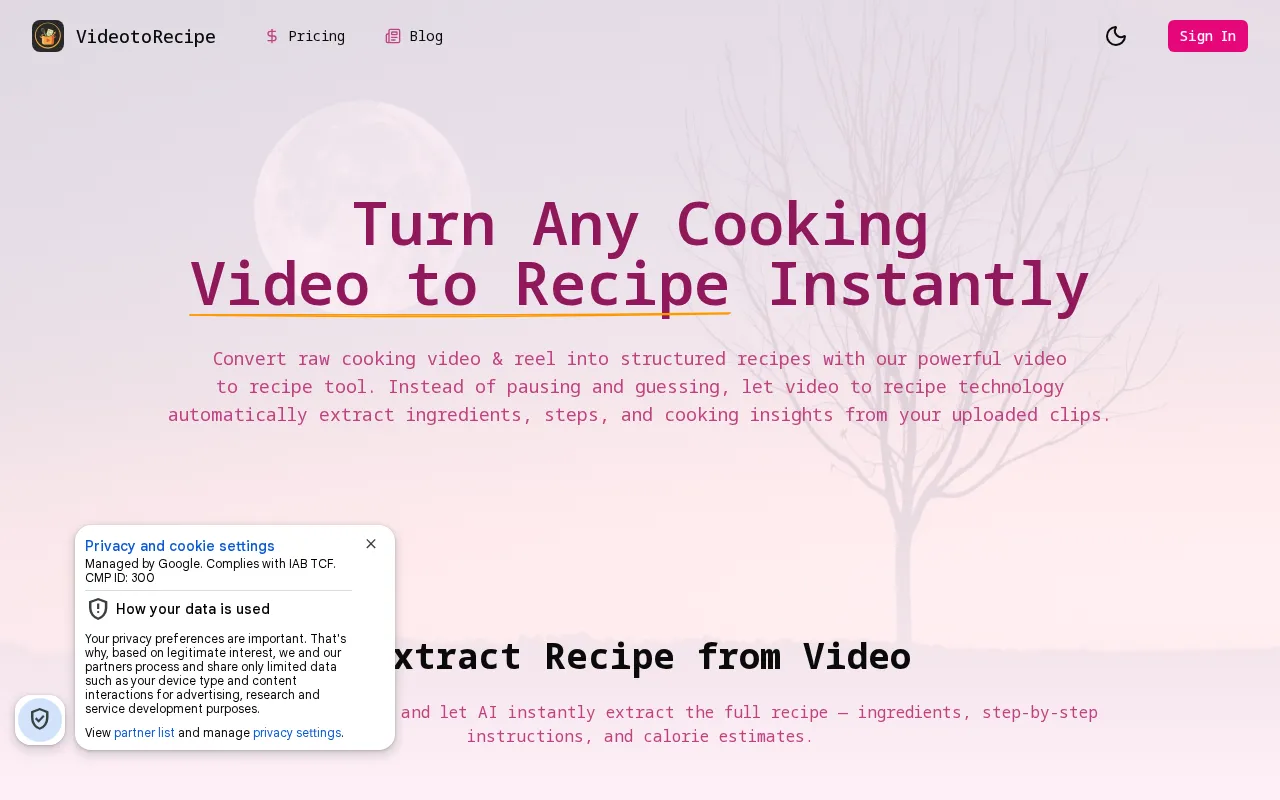 VideoToRecipe.org — preview screenshot