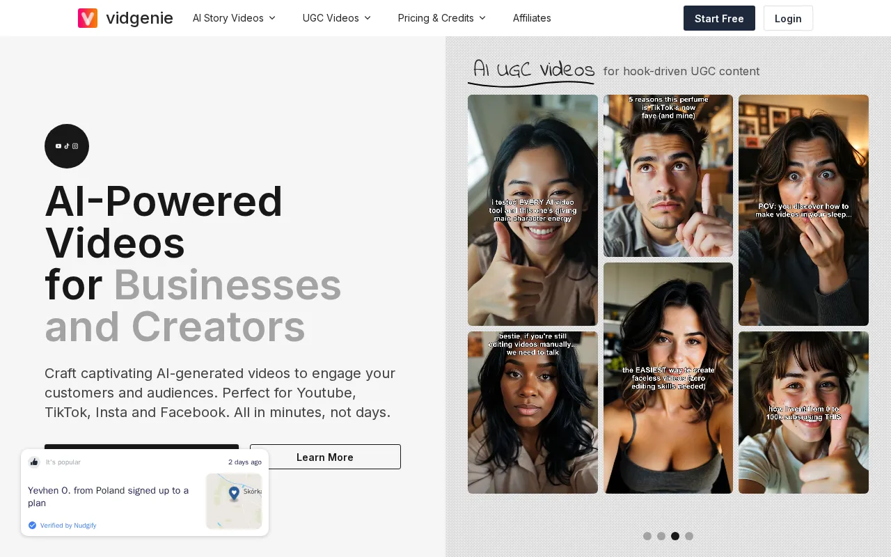 Vidgenie — preview screenshot