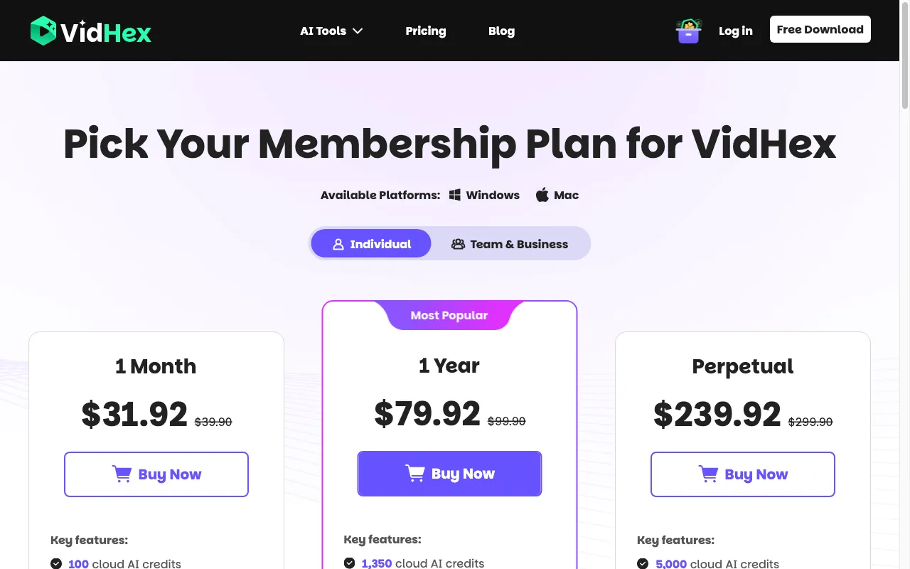 VidHex AI Video Enhancer — pricing page