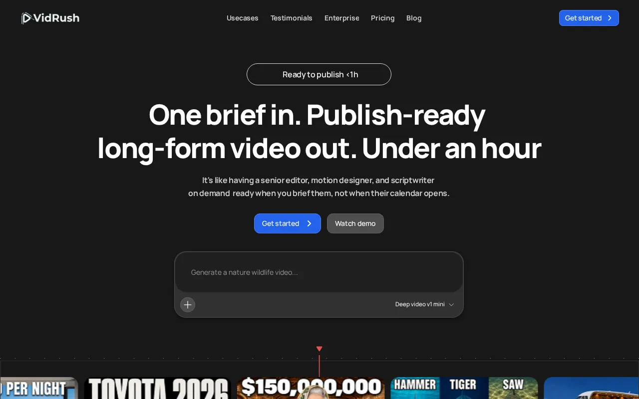 Vidrush AI — preview screenshot