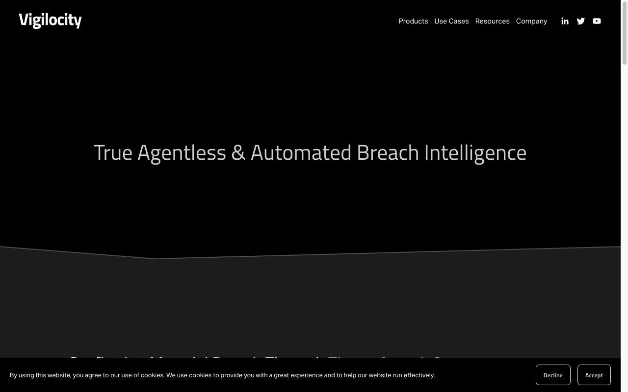 Vigilocity — preview screenshot