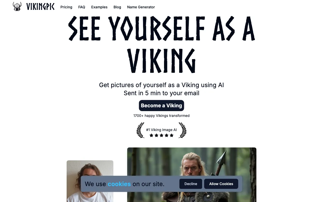 VikingPic — pricing page