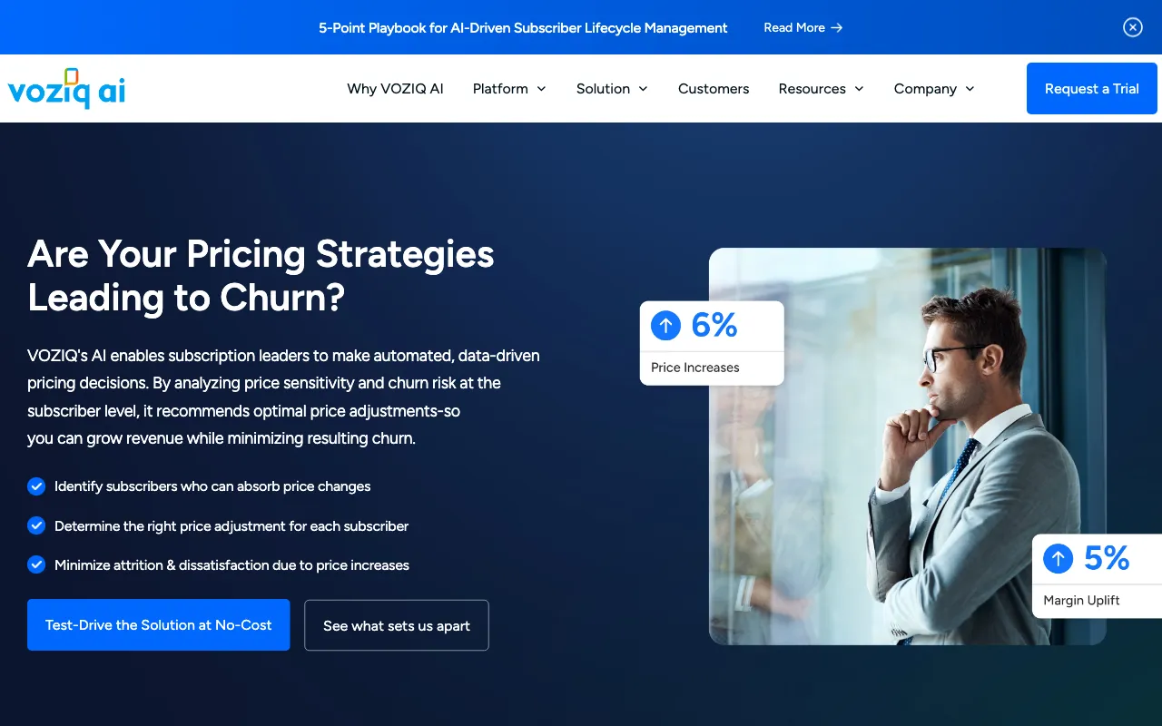 voziq.com — pricing page