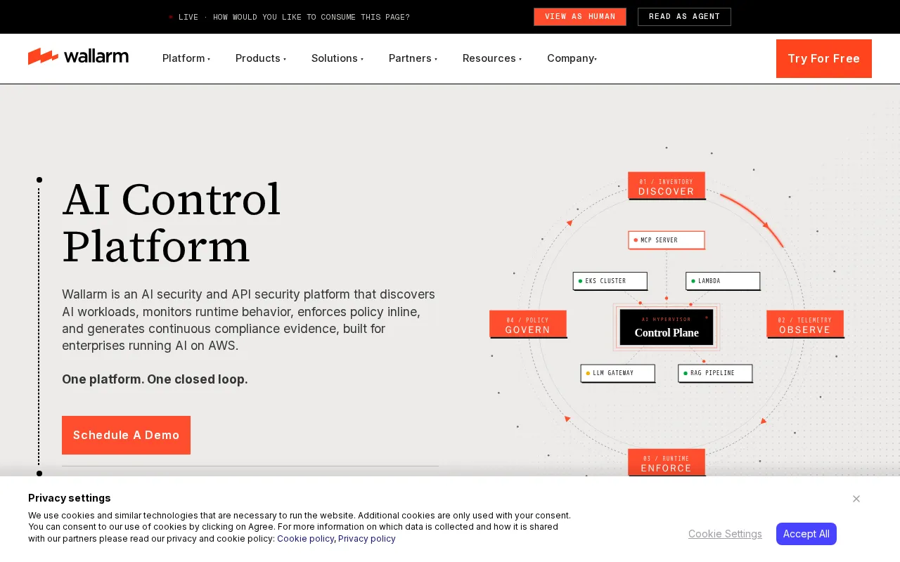 Wallarm — preview screenshot
