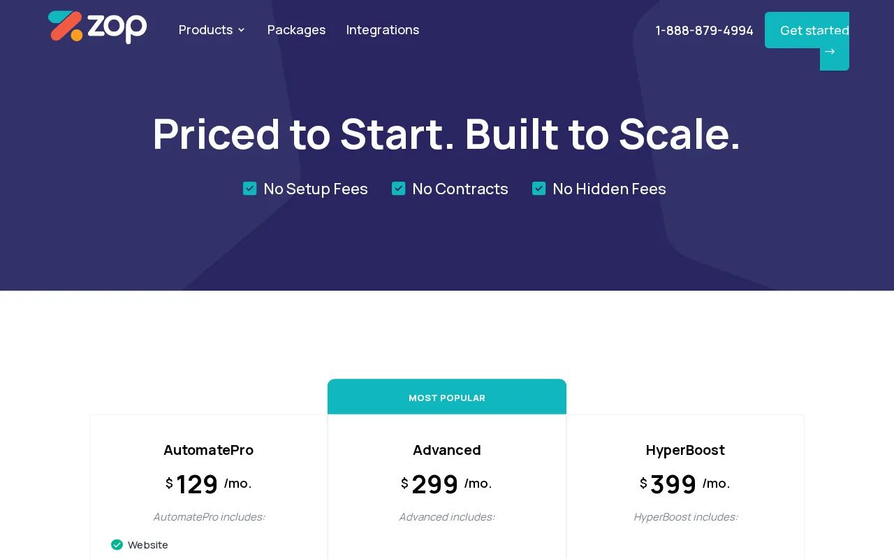 Website Design & Development Company — pricing page