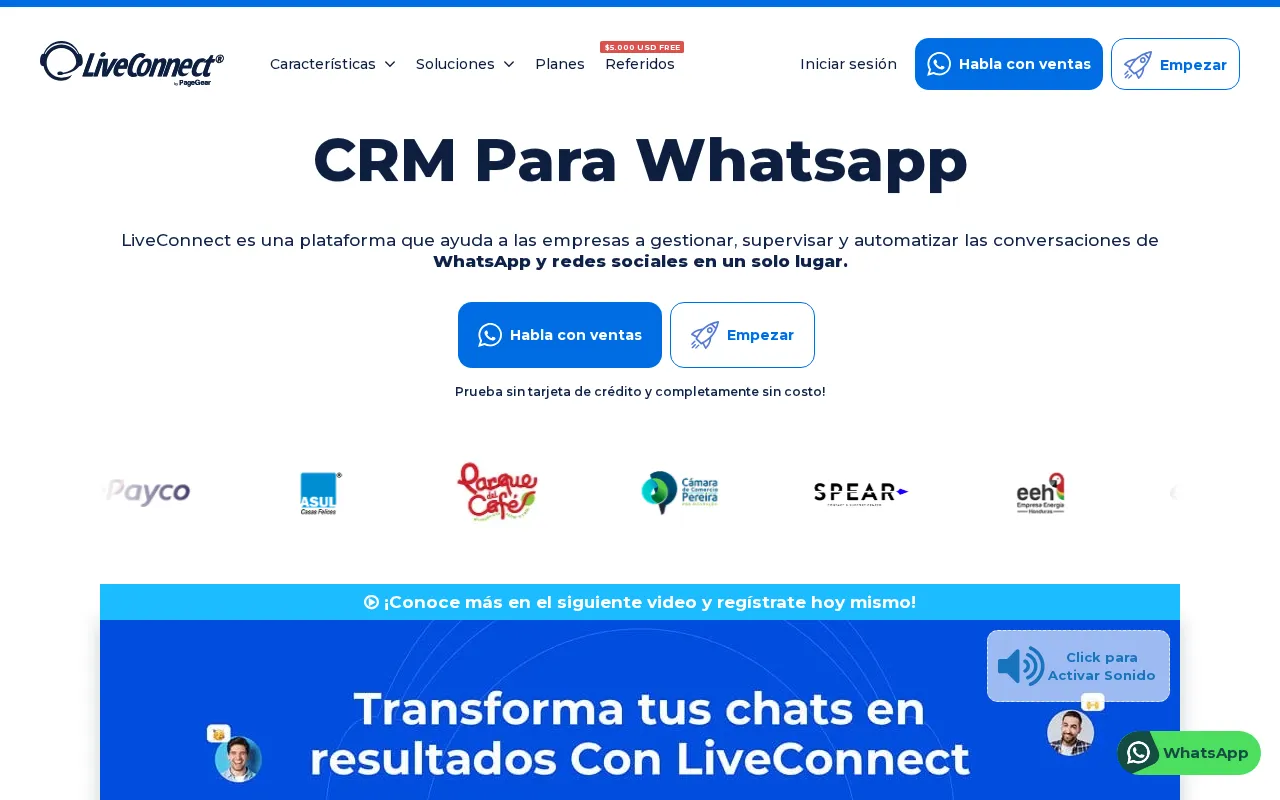 WhatsApp Multiagente, Instagram Web, LiveChat y Chatbots - LiveConnect — preview screenshot