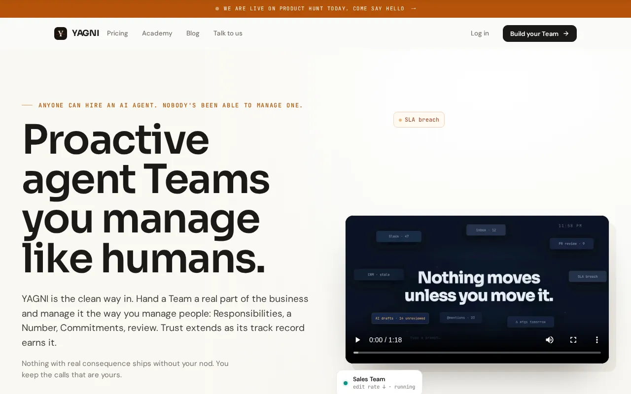 YAGNI — preview screenshot